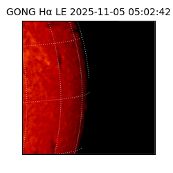 gong - 2025-11-05T05:02:42