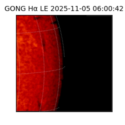 gong - 2025-11-05T06:00:42