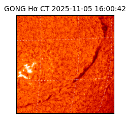 gong - 2025-11-05T16:00:42