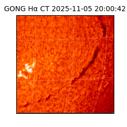 gong - 2025-11-05T20:00:42