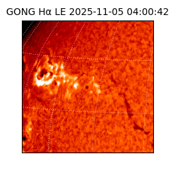 gong - 2025-11-05T04:00:42