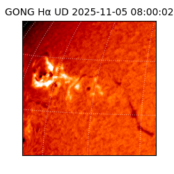 gong - 2025-11-05T08:00:02