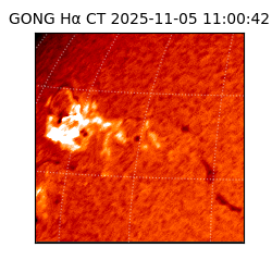 gong - 2025-11-05T11:00:42