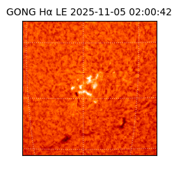 gong - 2025-11-05T02:00:42