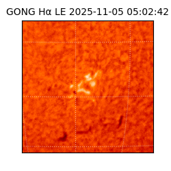 gong - 2025-11-05T05:02:42