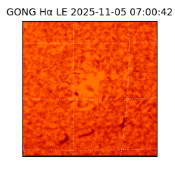 gong - 2025-11-05T07:00:42
