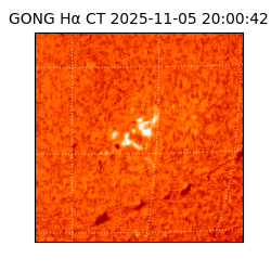 gong - 2025-11-05T20:00:42