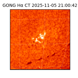 gong - 2025-11-05T21:00:42