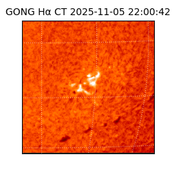 gong - 2025-11-05T22:00:42