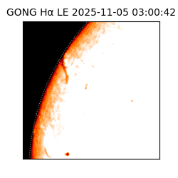 gong - 2025-11-05T03:00:42