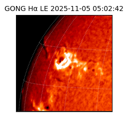 gong - 2025-11-05T05:02:42