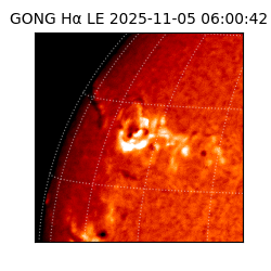 gong - 2025-11-05T06:00:42