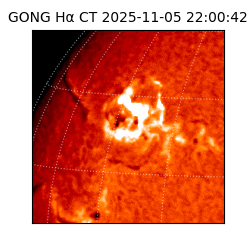 gong - 2025-11-05T22:00:42