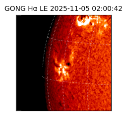 gong - 2025-11-05T02:00:42