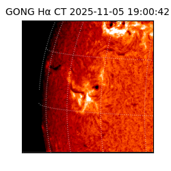 gong - 2025-11-05T19:00:42