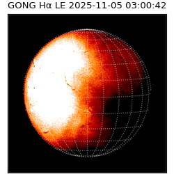 gong - 2025-11-05T03:00:42