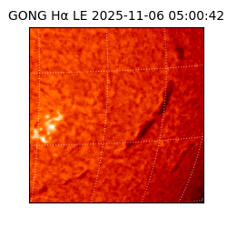 gong - 2025-11-06T05:00:42