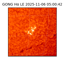 gong - 2025-11-06T05:00:42