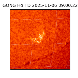 gong - 2025-11-06T09:00:22