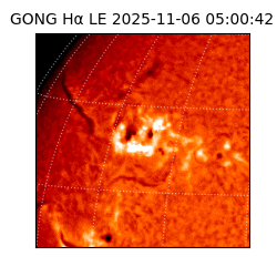 gong - 2025-11-06T05:00:42