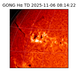 gong - 2025-11-06T08:14:22