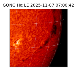 gong - 2025-11-07T07:00:42