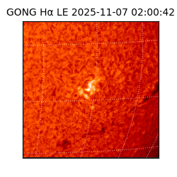 gong - 2025-11-07T02:00:42