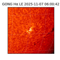gong - 2025-11-07T06:00:42