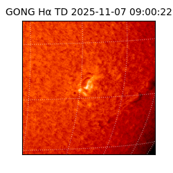 gong - 2025-11-07T09:00:22
