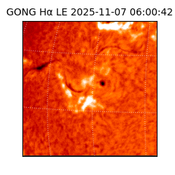 gong - 2025-11-07T06:00:42