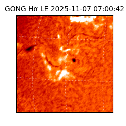 gong - 2025-11-07T07:00:42