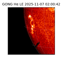 gong - 2025-11-07T02:00:42