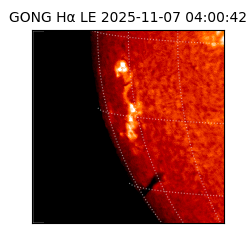 gong - 2025-11-07T04:00:42