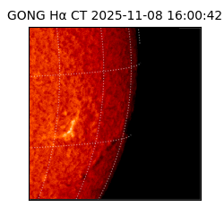 gong - 2025-11-08T16:00:42