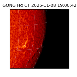 gong - 2025-11-08T19:00:42