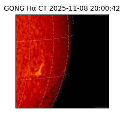 gong - 2025-11-08T20:00:42