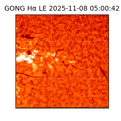 gong - 2025-11-08T05:00:42