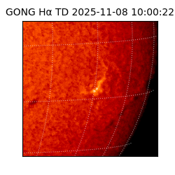 gong - 2025-11-08T10:00:22