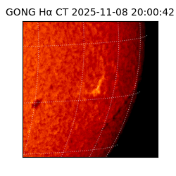 gong - 2025-11-08T20:00:42