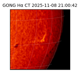 gong - 2025-11-08T21:00:42