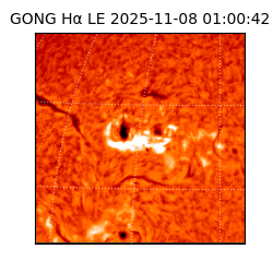 gong - 2025-11-08T01:00:42