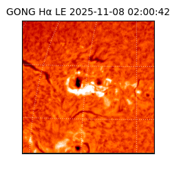 gong - 2025-11-08T02:00:42