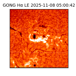 gong - 2025-11-08T05:00:42