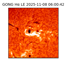 gong - 2025-11-08T06:00:42