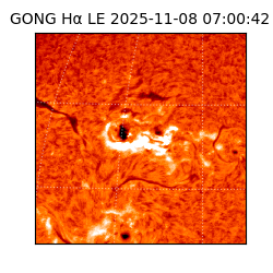 gong - 2025-11-08T07:00:42