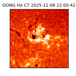 gong - 2025-11-08T22:00:42