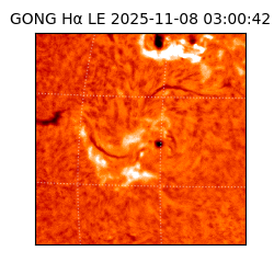 gong - 2025-11-08T03:00:42