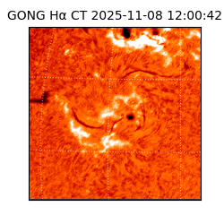 gong - 2025-11-08T12:00:42