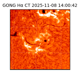 gong - 2025-11-08T14:00:42