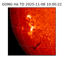gong - 2025-11-08T10:00:22
